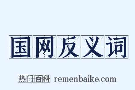 国网反义词是什么意思的图片